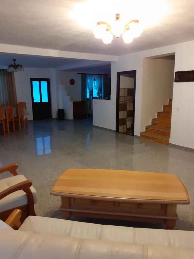 Pensiunea Natura Sadu Sibiu Extérieur photo