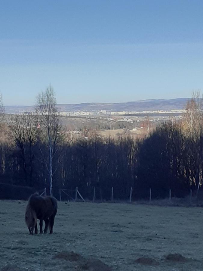 Pensiunea Natura Sadu Sibiu Extérieur photo