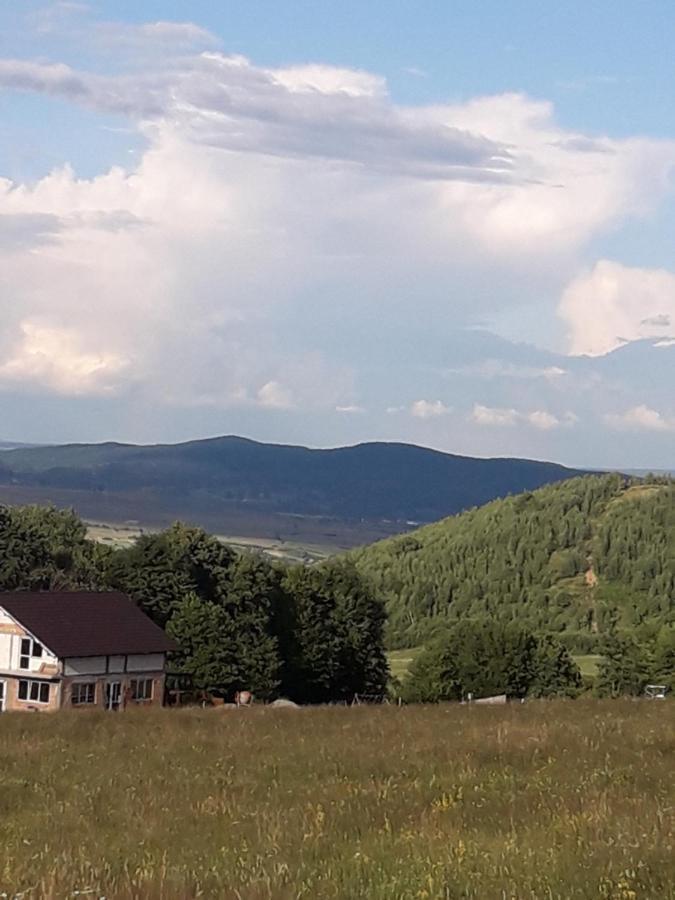 Pensiunea Natura Sadu Sibiu Extérieur photo