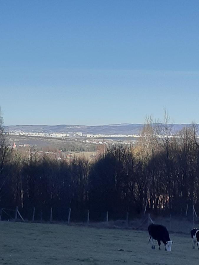 Pensiunea Natura Sadu Sibiu Extérieur photo
