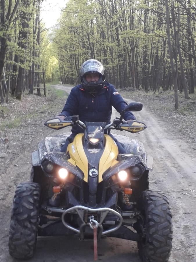 Pensiunea Natura Sadu Sibiu Extérieur photo