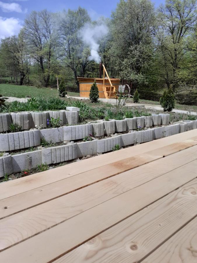 Pensiunea Natura Sadu Sibiu Extérieur photo