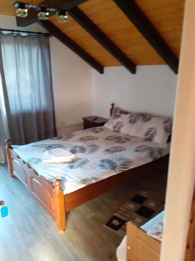 Pensiunea Natura Sadu Sibiu Extérieur photo