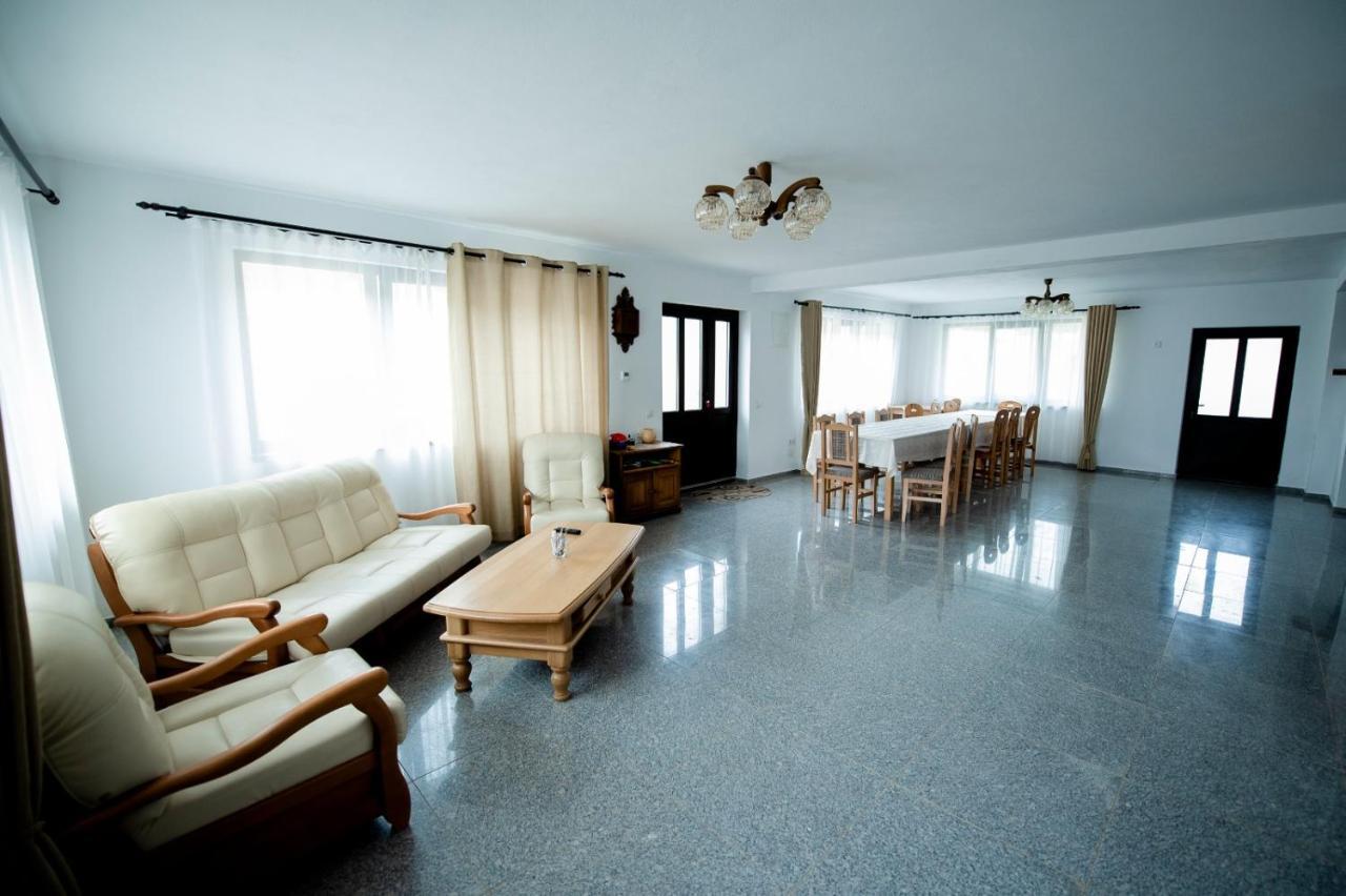 Pensiunea Natura Sadu Sibiu Extérieur photo