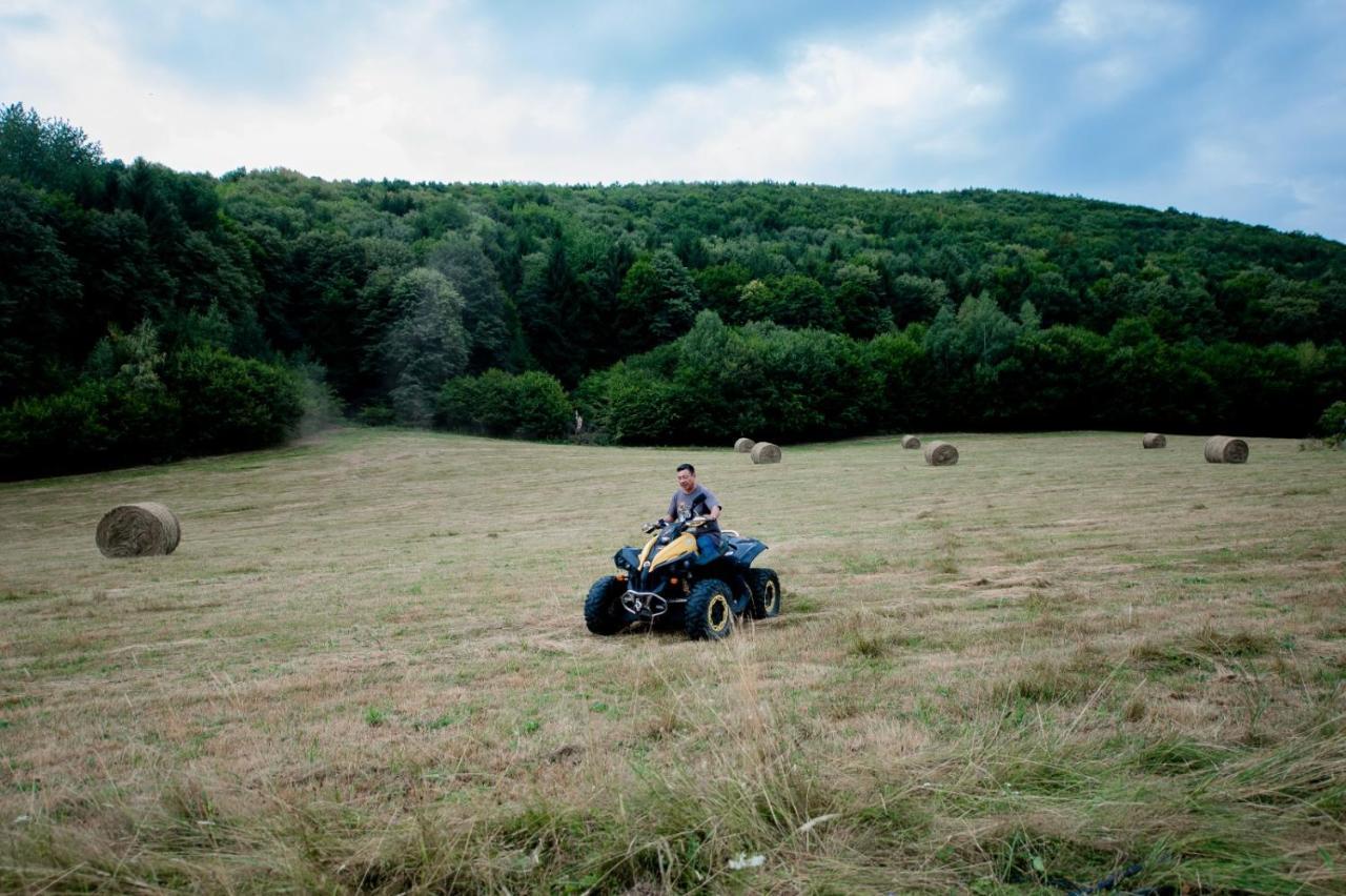 Pensiunea Natura Sadu Sibiu Extérieur photo
