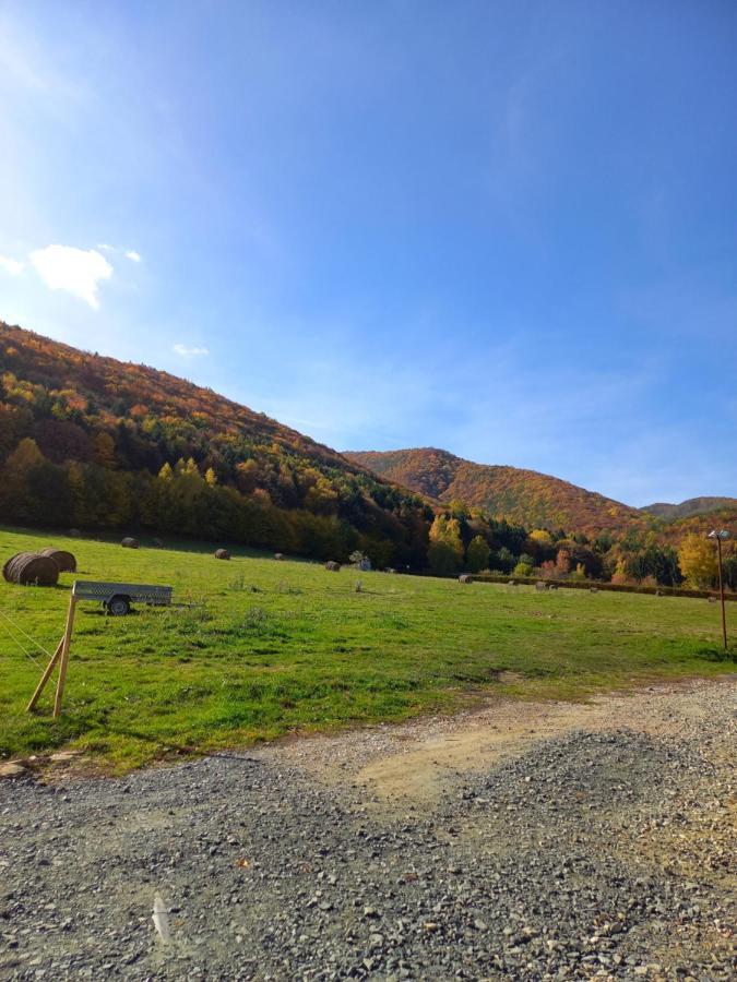 Pensiunea Natura Sadu Sibiu Extérieur photo