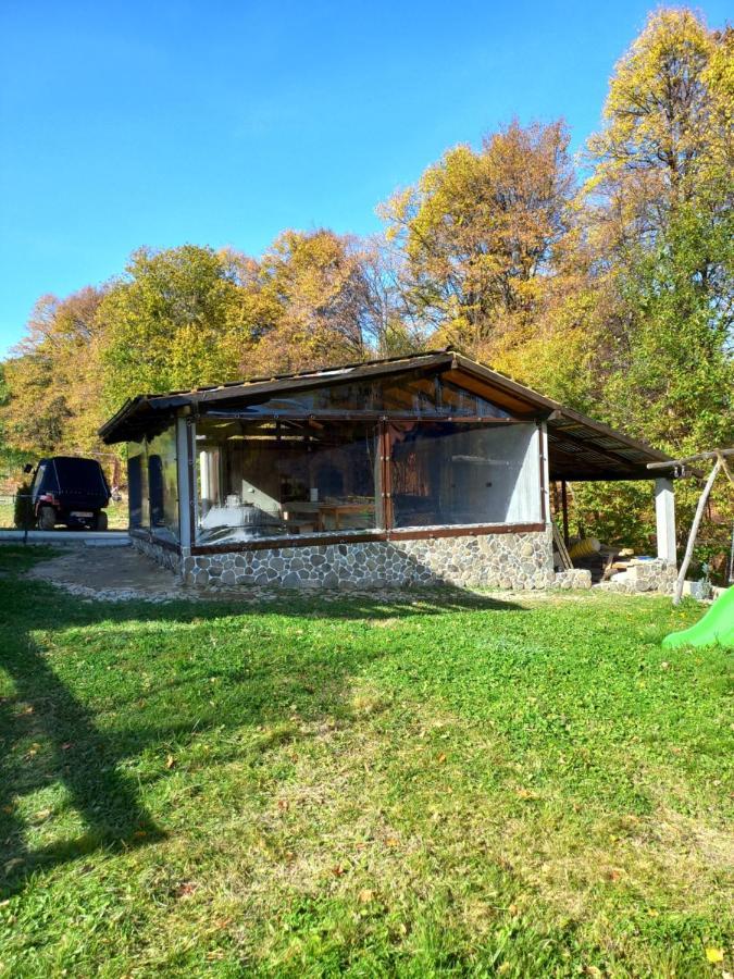 Pensiunea Natura Sadu Sibiu Extérieur photo