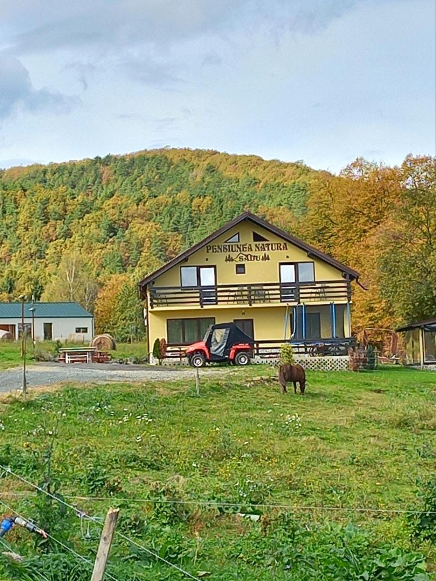 Pensiunea Natura Sadu Sibiu Extérieur photo
