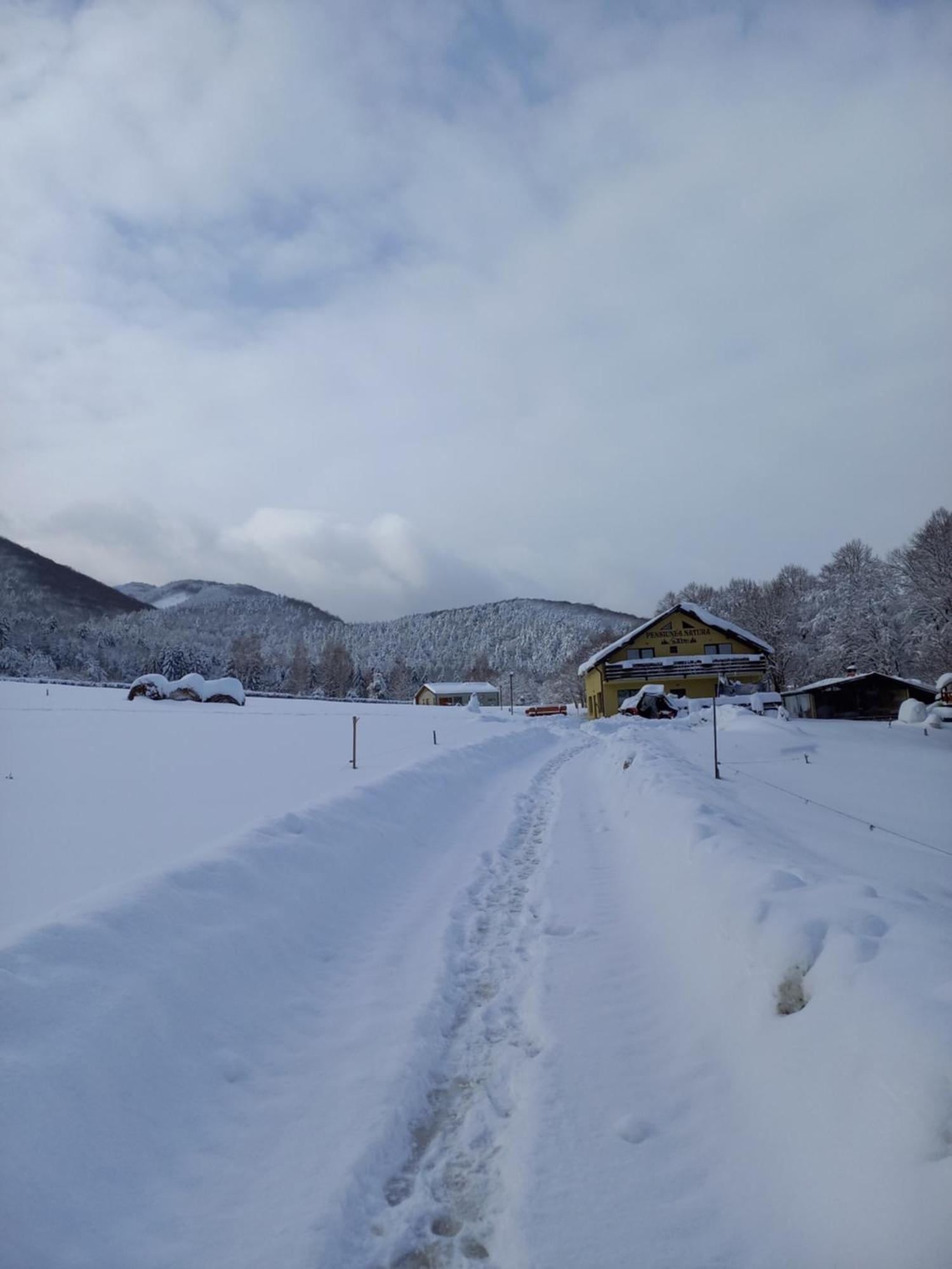 Pensiunea Natura Sadu Sibiu Extérieur photo